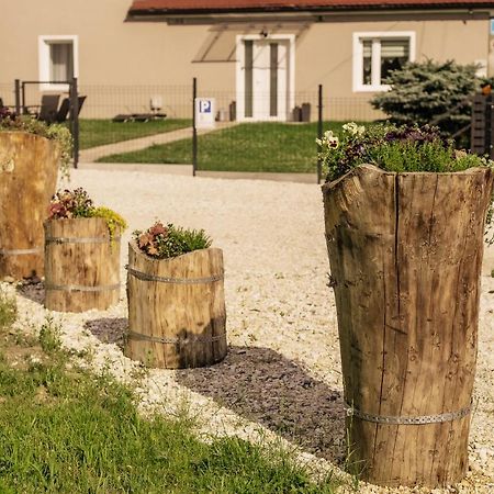 Apartament Pod Lasem Daire Oldrzychowice Klodzkie Dış mekan fotoğraf